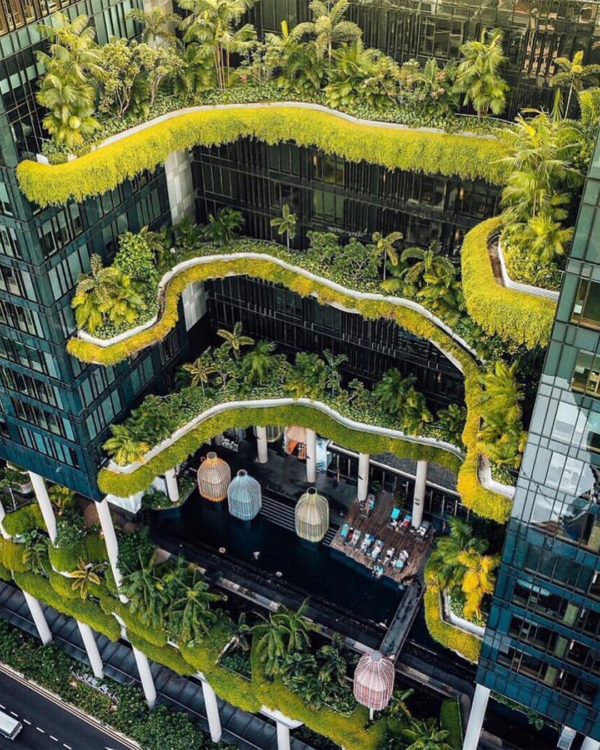 Обзорная экскурсия по Сингапуру. Дом с подвесными садами