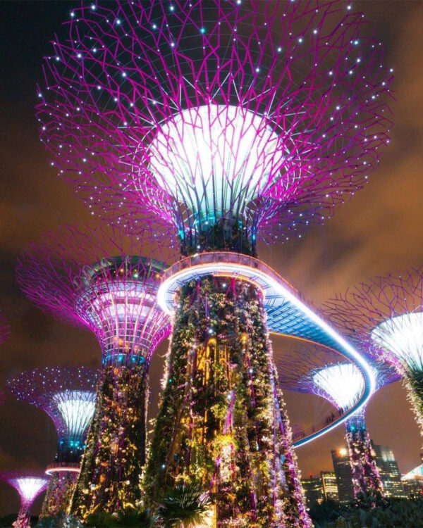 Вечерний сад. Тур в Сингапур.