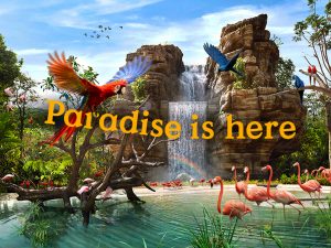 Билеты парк птиц - Птичий Рай