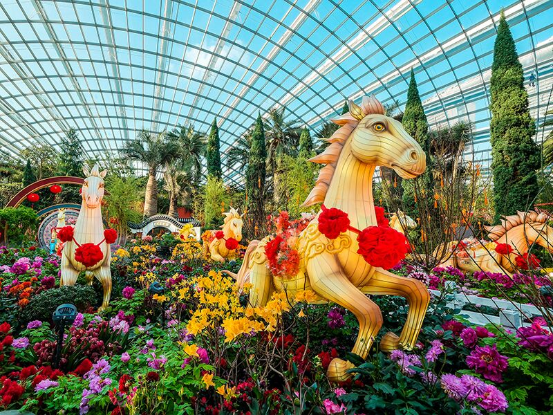 Китайский Новый Год Лощади 2026 в Сингапуре