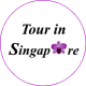 Тур в Сингапур. Логотип.